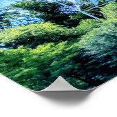 De Roanoke Star Poster (Hoek)