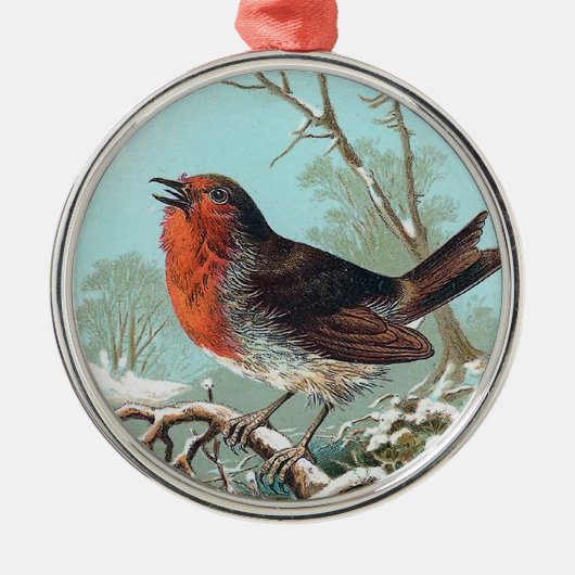 De Robin  Bird Illustratie Metalen Ornament (Voorkant)