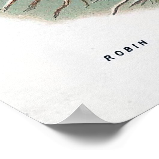 De Robin  Bird Illustratie Poster (Hoek)