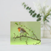 De Robin Briefkaart (Staand voorkant)