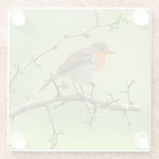 De Robin Glazen Onderzetter (Achterkant)