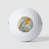 De Robin is een Waterverf van Gabriel Golfballen (Voorkant)
