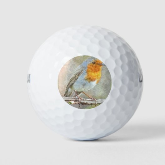 De Robin is een Waterverf van Gabriel Golfballen (Voorkant)
