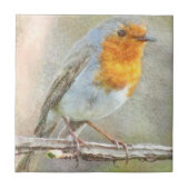 De Robin is een Waterverf van Gabriel Tegeltje (Voorkant)