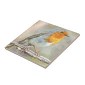 De Robin is een Waterverf van Gabriel Tegeltje (Zijkant)