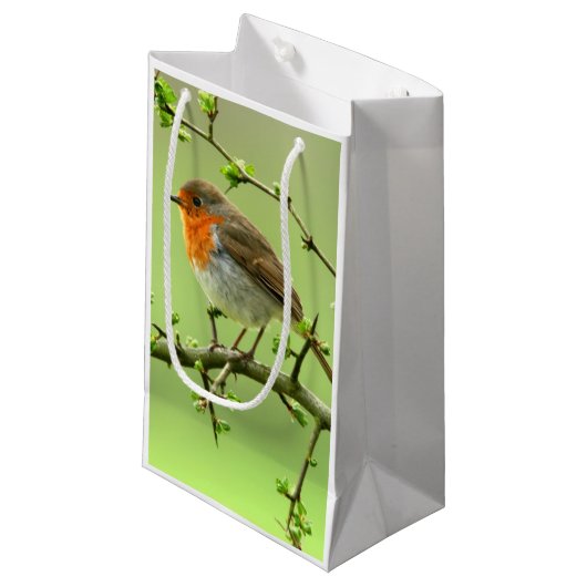 De Robin Klein Cadeauzakje (Voorkant Gekanteld)