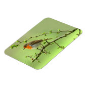 De Robin Magneet (Linkerzijde)