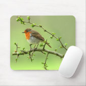 De Robin Muismat (Met muis)