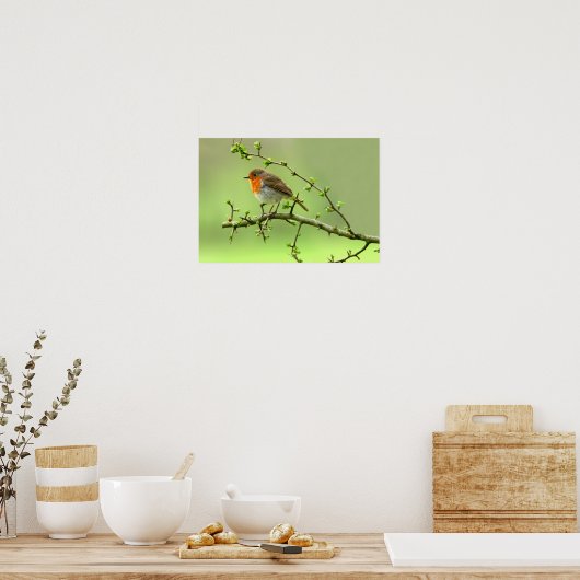 De Robin Poster (Keuken)