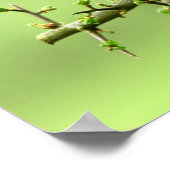 De Robin Poster (Hoek)