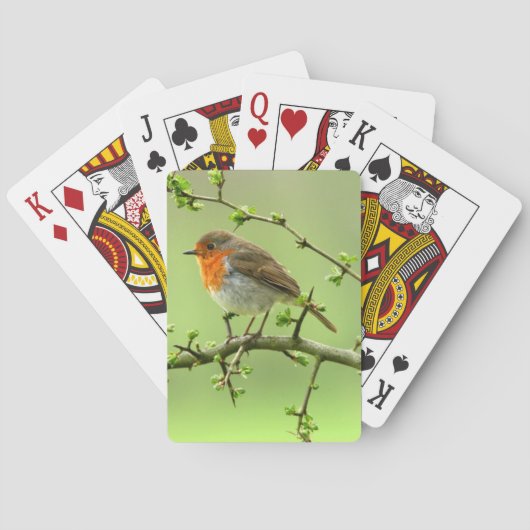 De Robin Speelkaarten (Achterkant)