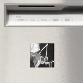 De robotarm van de Japanse Experiment Modu 2 Magneet (Insitu (Vaatwasser))