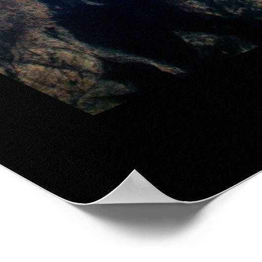 De Rockies Poster (Hoek)