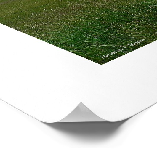 De Rockies Poster (Hoek)