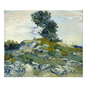 De Rocks Vincent van Gogh Foto Afdruk