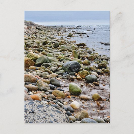 De Rocky Beaches van Montauk, Long Island, NY Briefkaart (Voorkant)