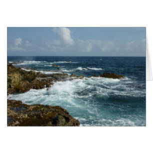 De Rocky Coast and Blue Ocean van Aruba