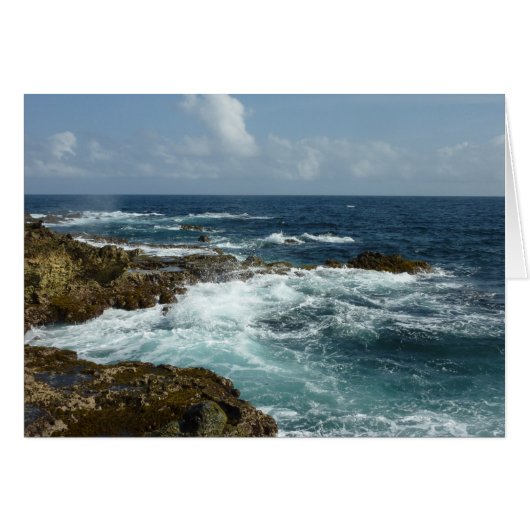 De Rocky Coast and Blue Ocean van Aruba (Voorkant Horizontaal)