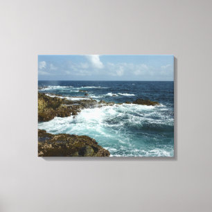 De Rocky Coast and Blue Ocean van Aruba Canvas Afdruk
