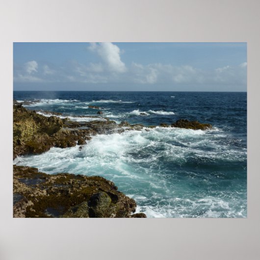 De Rocky Coast and Blue Ocean van Aruba Poster (Voorkant)