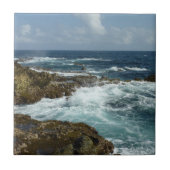 De Rocky Coast and Blue Ocean van Aruba Tegeltje (Voorkant)