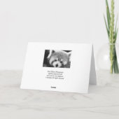 De rode #1-begroetende kaart van de Panda (Achterkant)