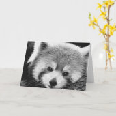 De rode #1-begroetende kaart van de Panda (Gele Bloem)