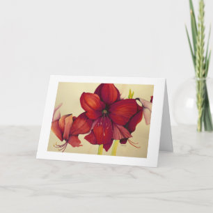 De rode Amaryllis die van Kerstmis de Witte Kaart