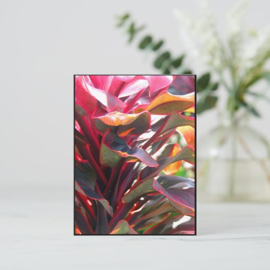 De rode Bladeren van Ti Briefkaart (Staand voorkant)