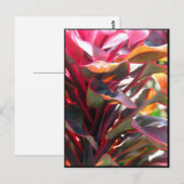 De rode Bladeren van Ti Briefkaart (Voorkant / Achterkant)