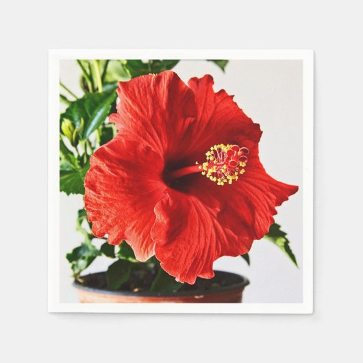 De rode Bloem van de Hibiscus Servetten (Voorkant)