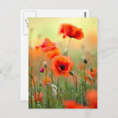 De rode Bloemen van de Papaver Briefkaart (Voorkant / Achterkant)