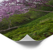 De rode buikbomen die goed willen en de rode buis poster (Hoek)