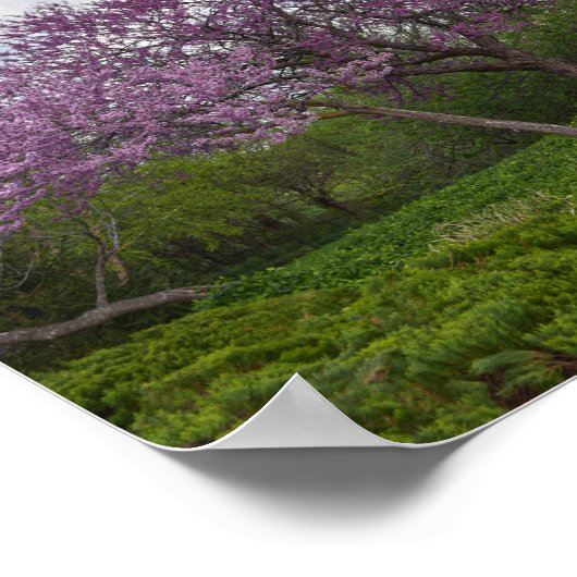 De rode buikbomen die goed willen en de rode buis poster (Hoek)