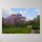 De rode buikbomen die goed willen en de rode buis poster (Voorkant)