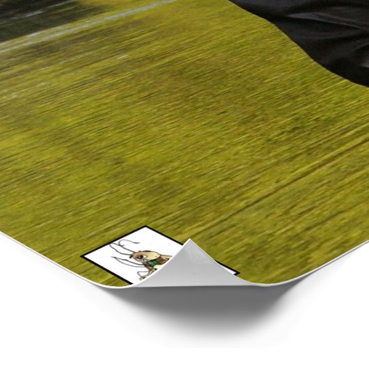 De rode cricket-forel-kantelweerstand poster (Hoek)