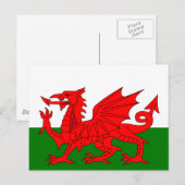De rode draak (vlag van Wales) Briefkaart (Voorkant / Achterkant)