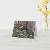 De "rode druk van de de notakaart van de Kulassen Kaart (Gele Bloem)