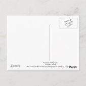 De rode eekhoorn die bleef hangen briefkaart (Achterkant)