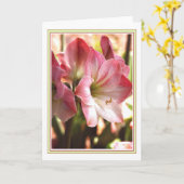De Rode en Witte Lege Kaart van de amaryllis (Gele Bloem)