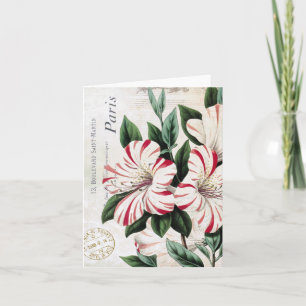 De rode en Witte vintage vakantie van de Amaryllis Feestdagen Kaart