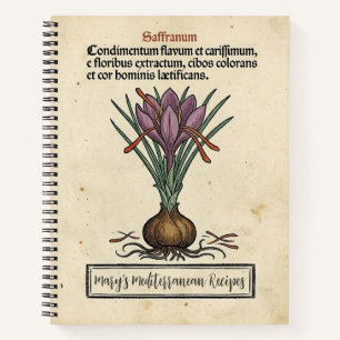 De rode goudkrokus: middeleeuwse saffraanrecept notitieboek