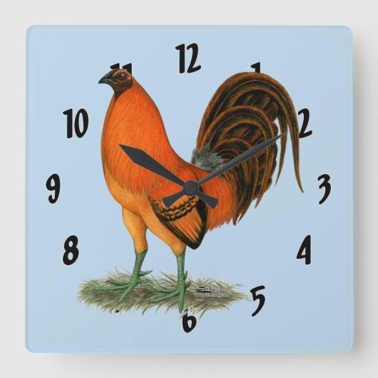De Rode Haan van de Gember van de kemphaan Vierkante Klok (Voorkant)