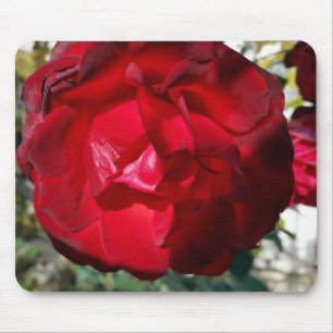 De rode herfst muismat