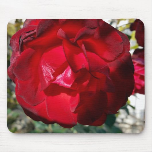 De rode herfst muismat (Voorkant)