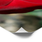 De rode herfst perfect poster (Hoek)