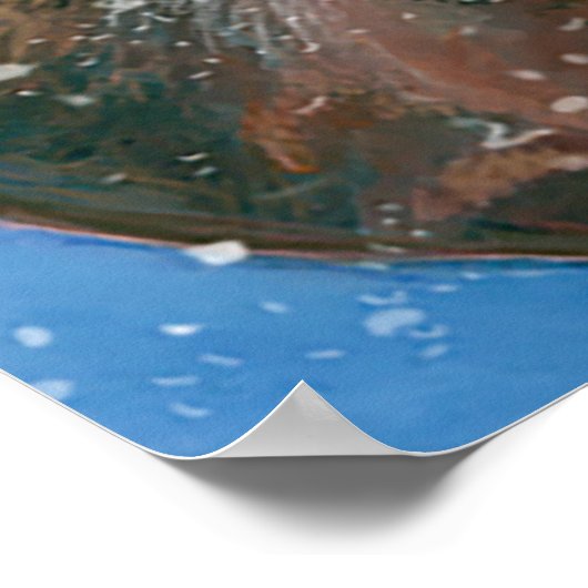 De rode herten (Cervus elaphus) Poster (Hoek)