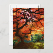 De rode Heuvel van de Boom Briefkaart (Voorkant / Achterkant)