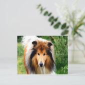 de rode hond gaat naar de liefde briefkaart (Staand voorkant)