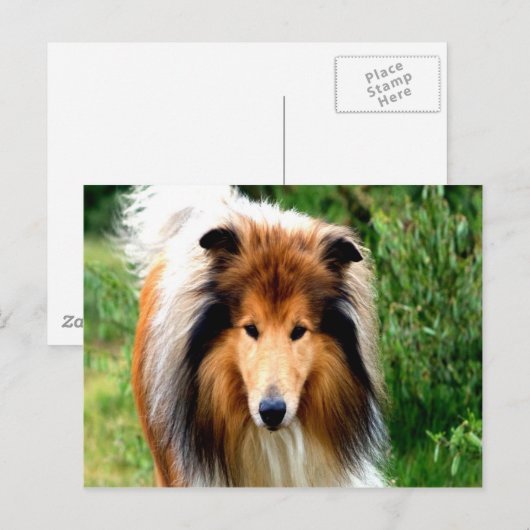 de rode hond gaat naar de liefde briefkaart (Voorkant / Achterkant)